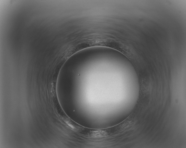 X0000056340087200509021707