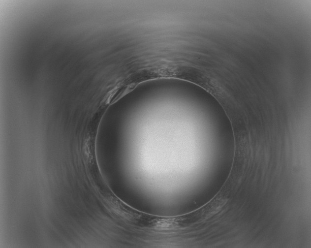 X0000056340088200509021707