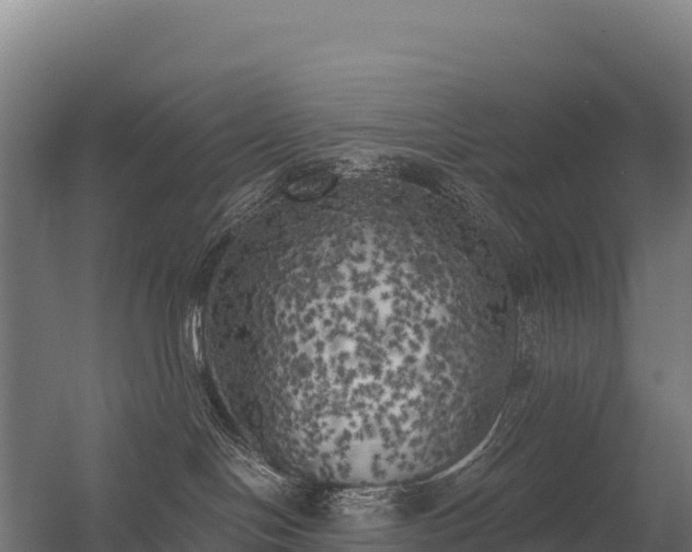 X0000056340094200509021707