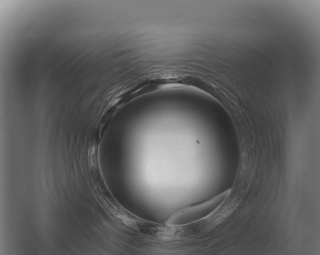 X0000056340096200509021707