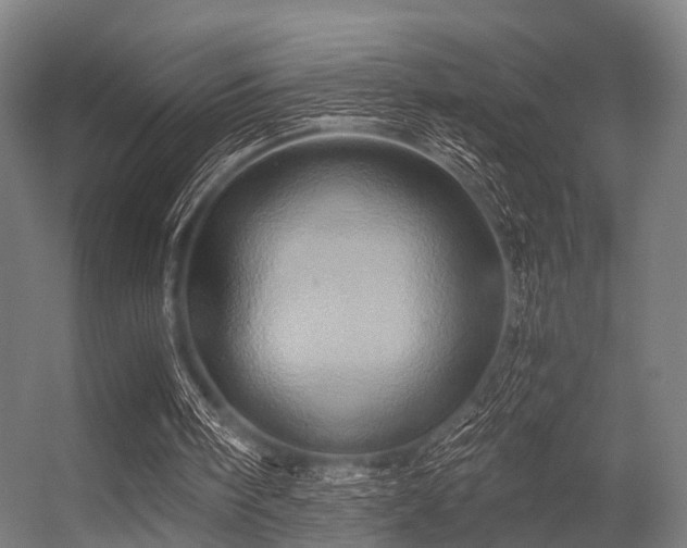 X0000056340098200509021706