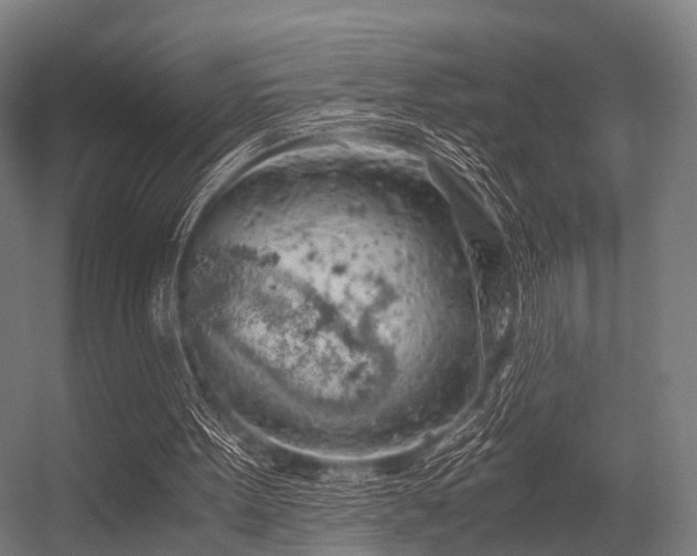 X0000056340099200509021706
