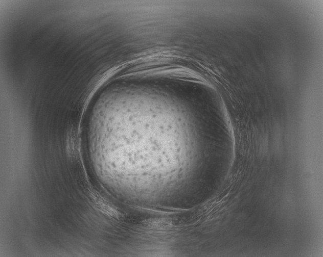 X0000056340100200509021706
