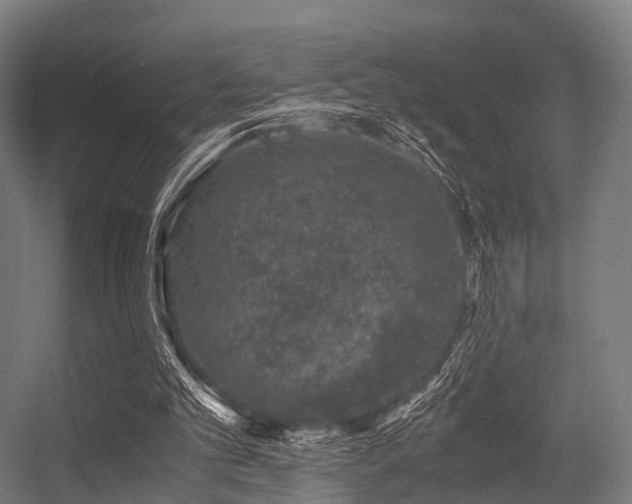 X0000056340101200509021706