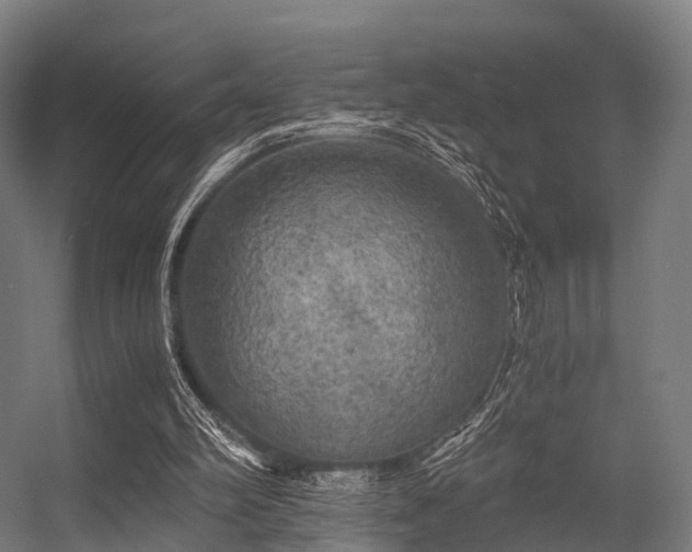 X0000056340102200509021706