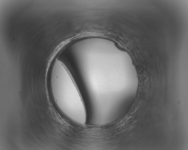 X0000056340104200509021706
