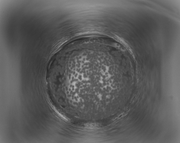 X0000056340105200509021706