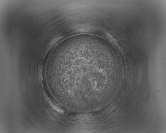 X0000056340106200509021706