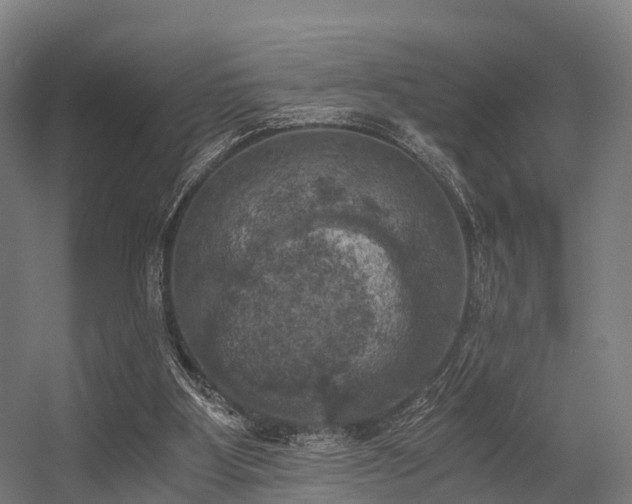 X0000056340107200509021706