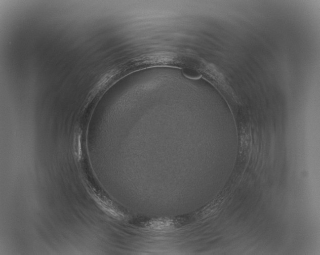 X0000056340110200509021706