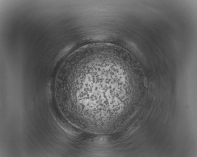 X0000056340116200509021706