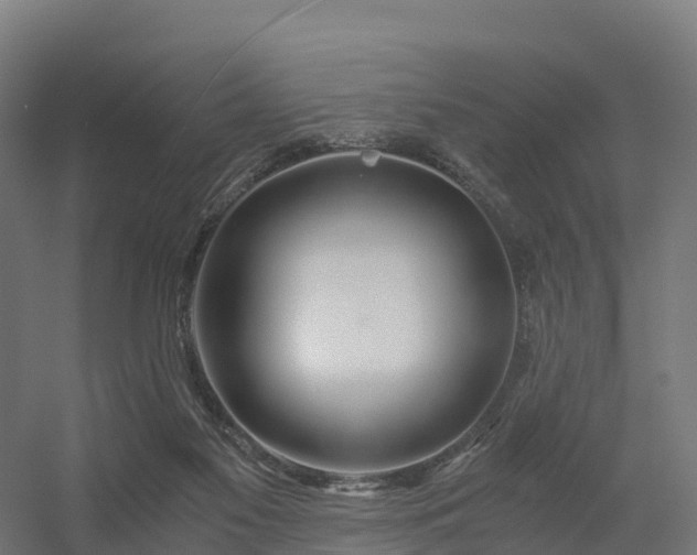 X0000056340117200509021706