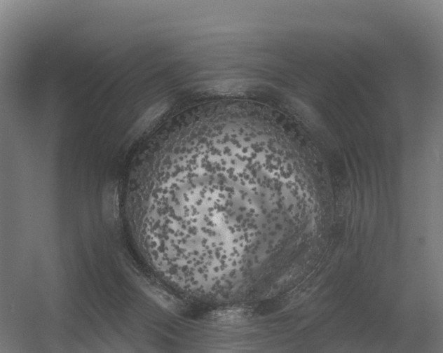 X0000056340120200509021706