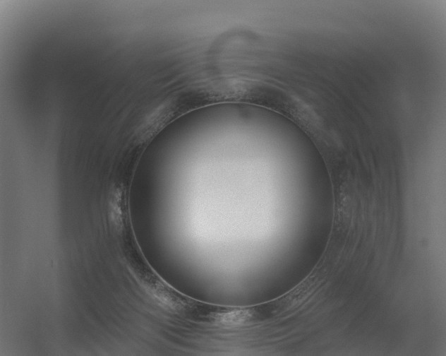 X0000056340122200509021706