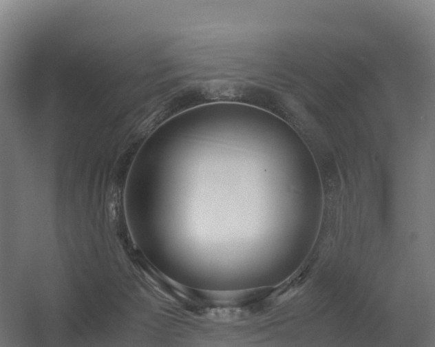X0000056340125200509021706