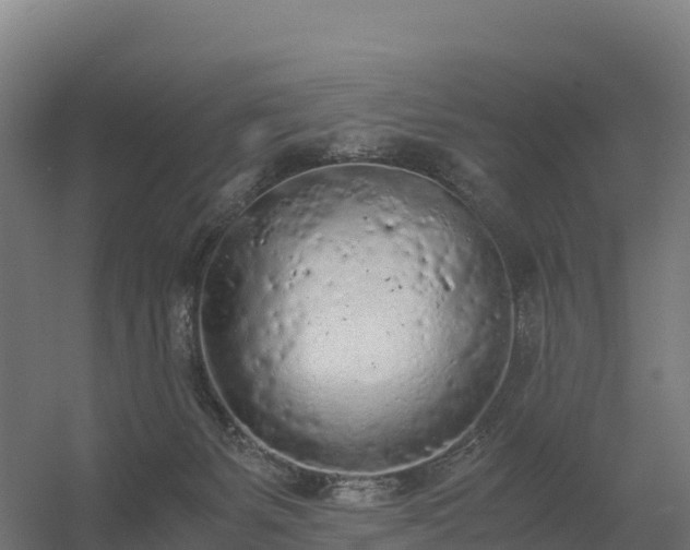 X0000056340127200509021705
