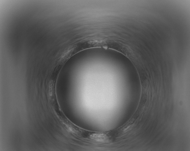 X0000056340133200509021705