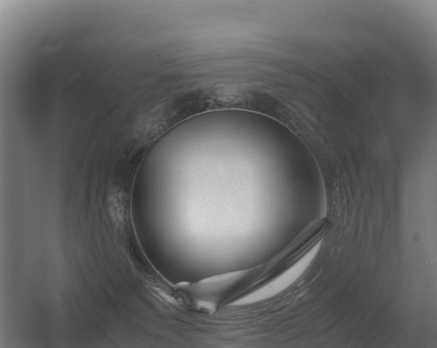 X0000056340135200509021705