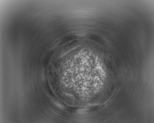 X0000056340136200509021705