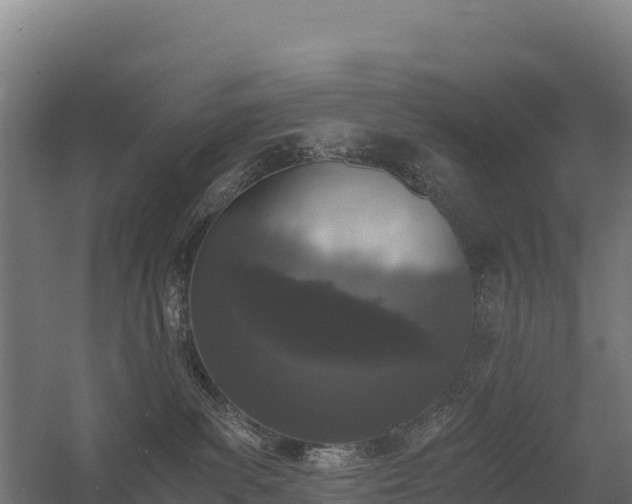 X0000056340139200509021705