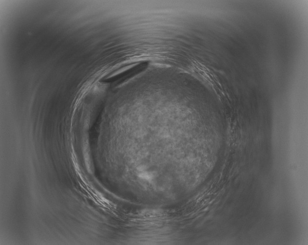 X0000056340145200509021704