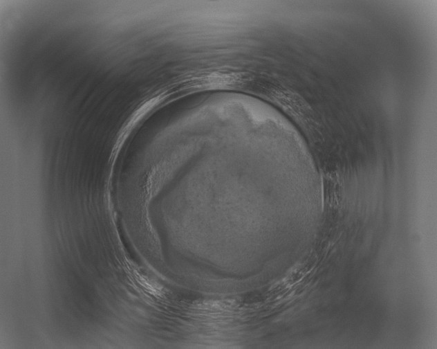 X0000056340147200509021704