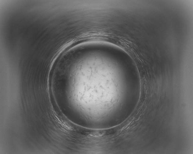 X0000056340148200509021704