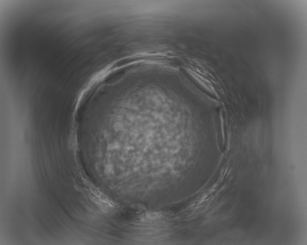 X0000056340149200509021704
