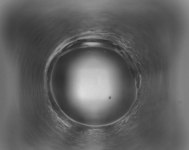 X0000056340150200509021704