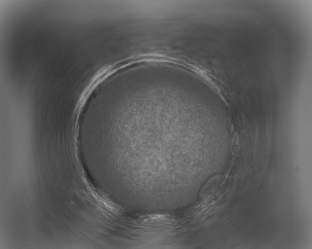 X0000056340151200509021704