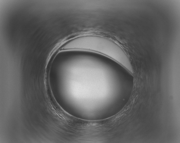 X0000056340152200509021704