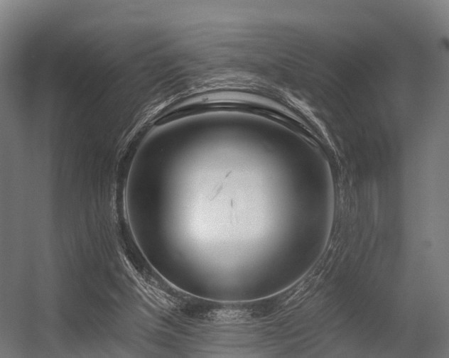 X0000056340154200509021705
