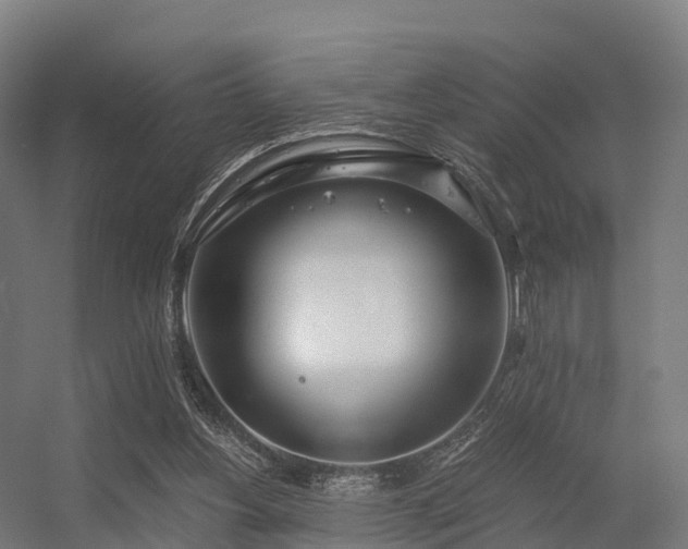 X0000056340156200509021705