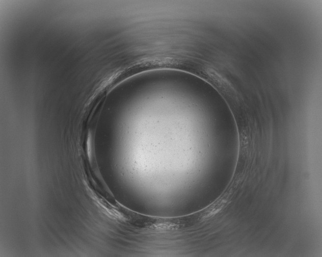 X0000056340158200509021705