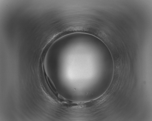 X0000056340160200509021705