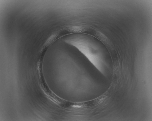 X0000056340167200509021705