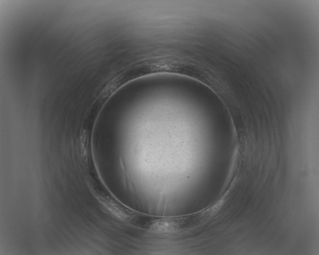 X0000056340174200509021705