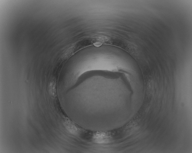 X0000056340177200509021705