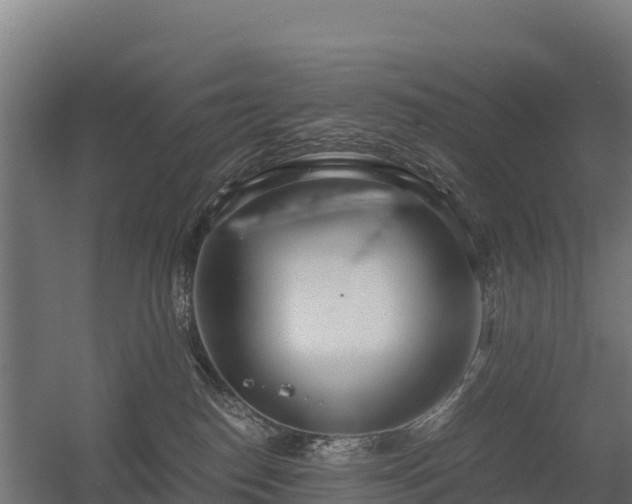 X0000056340186200509021705