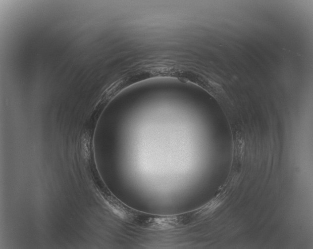 X0000056340188200509021705