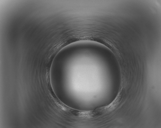 X0000056340192200509021705