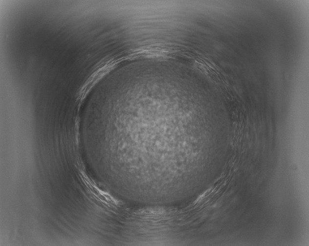 X0000056340194200509021704