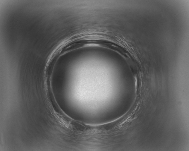 X0000056340197200509021704