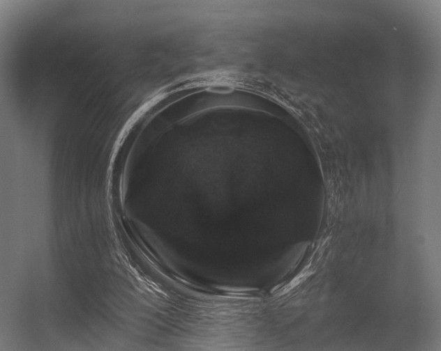 X0000056340200200509021704