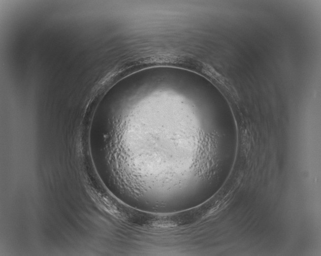 X0000056340203200509021704