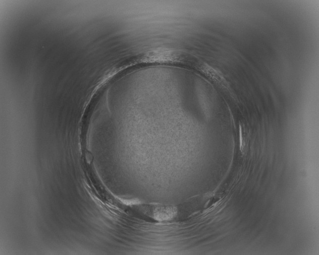 X0000056340204200509021704