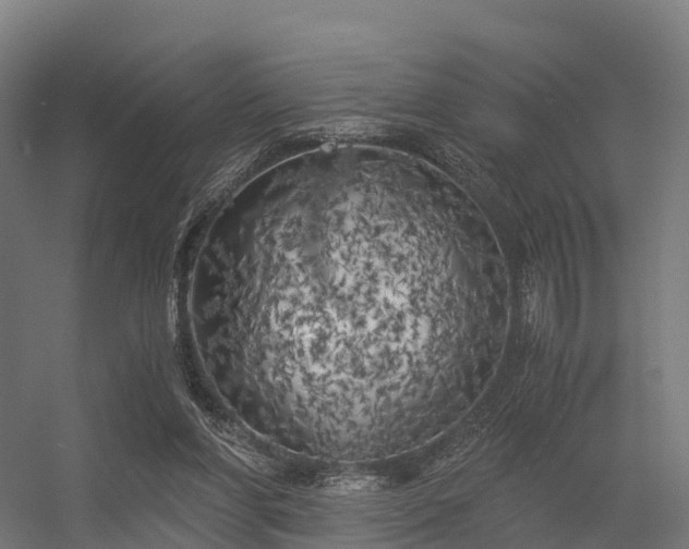 X0000056340206200509021704