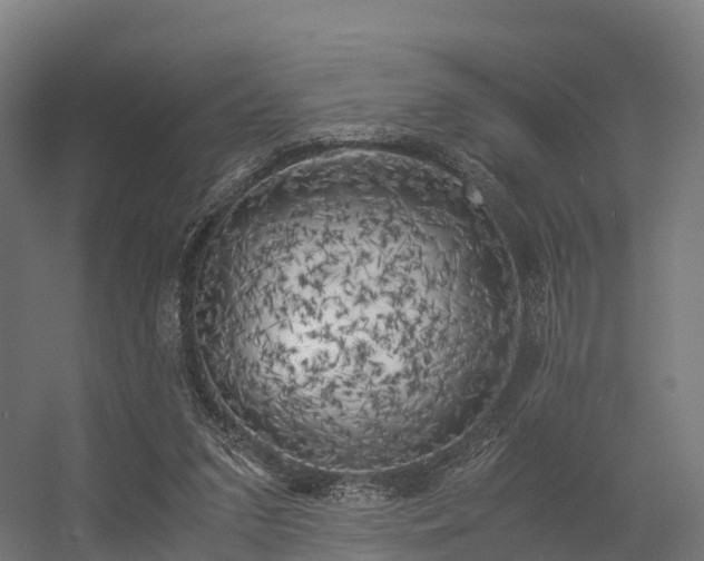 X0000056340207200509021704