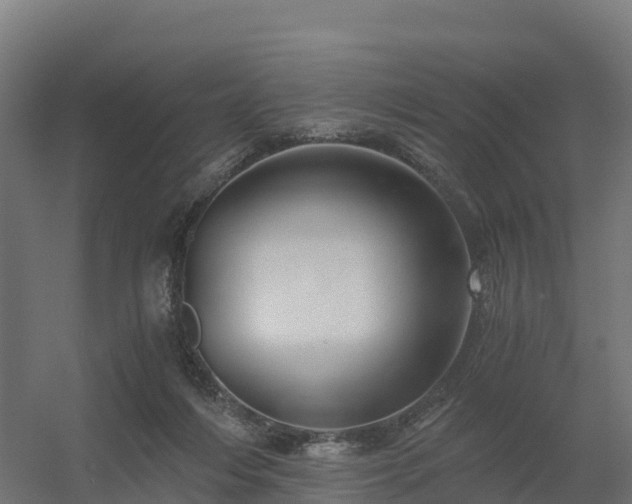 X0000056340216200509021704