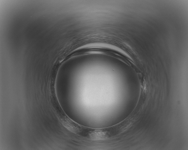 X0000056340217200509021704
